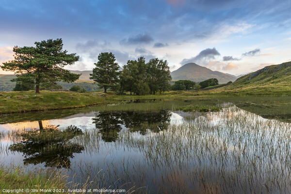 Kelly Hall Tarn, Lake District Picture Board by Jim Monk