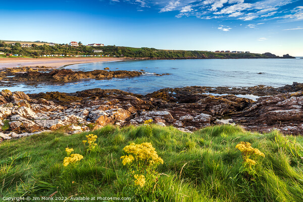 Coldingham Bay Picture Board by Jim Monk