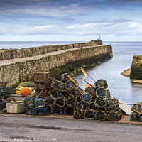 Buy canvas prints of St Andrews Harbourside by Jim Monk