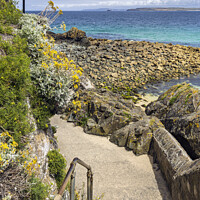 Buy canvas prints of Coastal Path, St Ives Head by Jim Monk