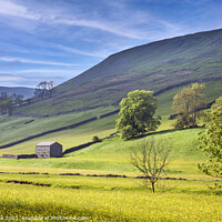 Buy canvas prints of Golden Fields of Swaledale by Jim Monk