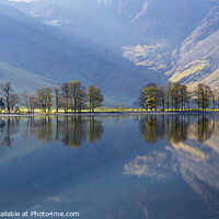 Buy canvas prints of Buttermere Pines, Lake District by Jim Monk