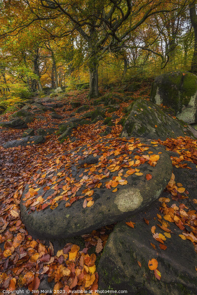 Millstone at Padley Gorge  Picture Board by Jim Monk