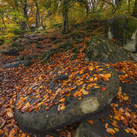 Buy canvas prints of Millstone at Padley Gorge  by Jim Monk