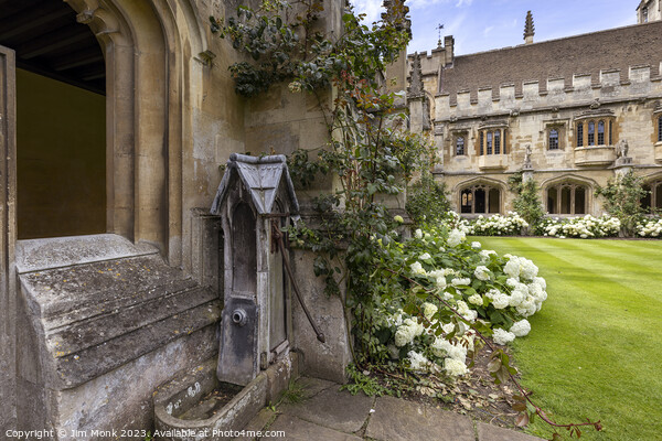 Magdalen College Cloisters Picture Board by Jim Monk