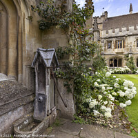 Buy canvas prints of Magdalen College Cloisters by Jim Monk