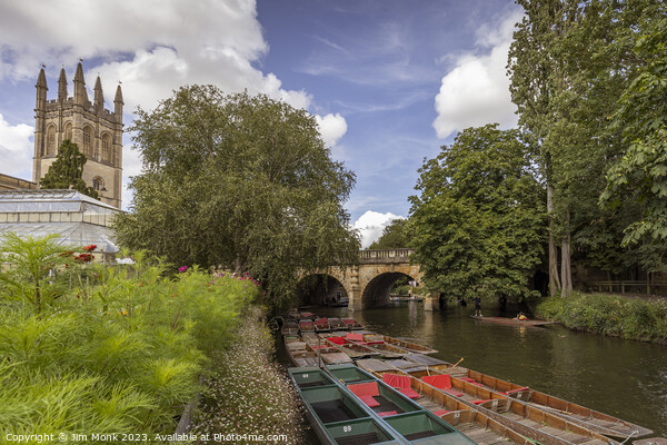 River Cherwell, Oxford Picture Board by Jim Monk