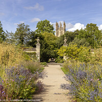 Buy canvas prints of Oxford Botanic Garden by Jim Monk