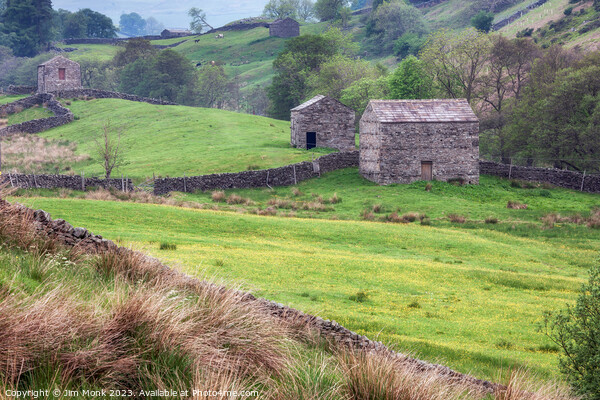 Buttercups and Barns, Yorkshire Dales Picture Board by Jim Monk