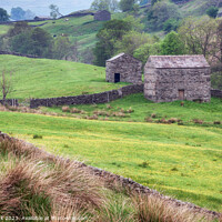 Buy canvas prints of Buttercups and Barns, Yorkshire Dales by Jim Monk