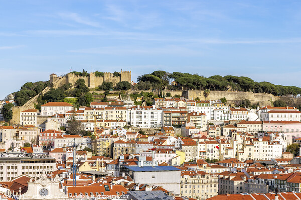 View from Miradouro de Sao Pedro in Lisbon Picture Board by Jim Monk