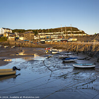 Buy canvas prints of New Quay harbour, West Wales by Jim Monk