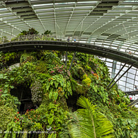 Cloud Forest, Gardens By The Bay