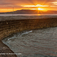 The Cobb, Lyme Regis