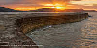 Click to show how this picture will look as a piece of wall art