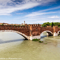 Buy canvas prints of The Castelvecchio bridge, Verona by Jim Monk