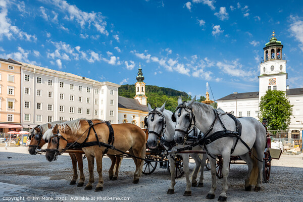 Salzburg city horses Picture Board by Jim Monk