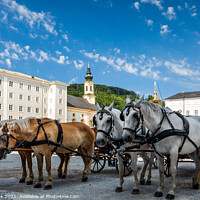 Buy canvas prints of Salzburg city horses by Jim Monk