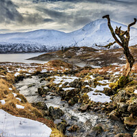 Buy canvas prints of Loch Quoich,  Scottish Highlands by Jim Monk