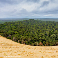 Buy canvas prints of The Dune of Pilat by Jim Monk