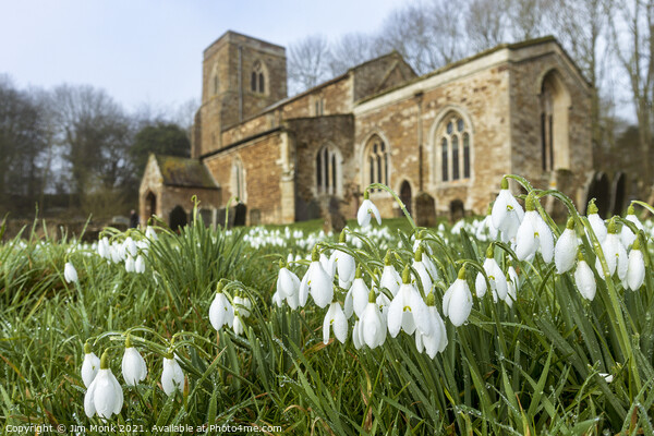 Church snowdrops Picture Board by Jim Monk