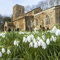 Buy canvas prints of Church snowdrops by Jim Monk