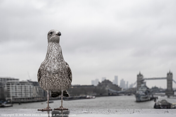 Gull's Eye View of London Picture Board by Jim Monk