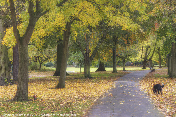Abbey Park Autumn Picture Board by Jim Monk