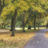 Buy canvas prints of Abbey Park Autumn by Jim Monk