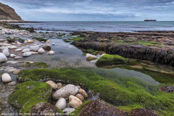 The Rock Pool Picture Board by Jim Monk