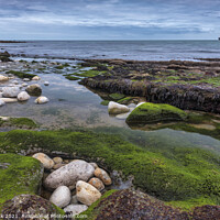 Buy canvas prints of The Rock Pool by Jim Monk