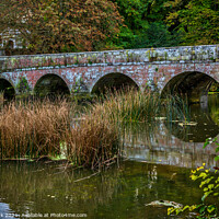 Buy canvas prints of Bridge over the Stour, Blandford Forum by Jim Monk
