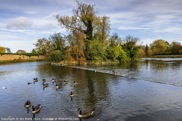 River Soar at Abbey Park in Leicester Picture Board by Jim Monk