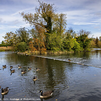 Buy canvas prints of River Soar at Abbey Park in Leicester by Jim Monk