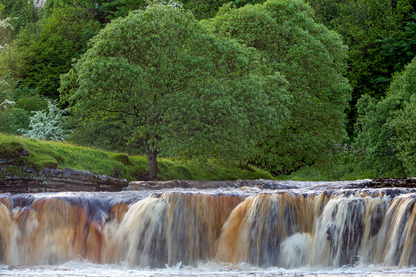 Wain Wath Force, Yorkshire Dales Picture Board by Jim Monk