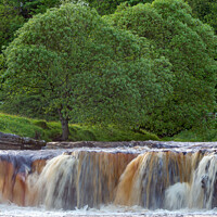 Buy canvas prints of Wain Wath Force, Yorkshire Dales by Jim Monk