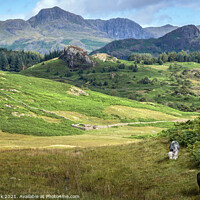 Buy canvas prints of Little Langdale Valley by Jim Monk