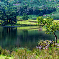 Buy canvas prints of Rydal Water by Jim Monk
