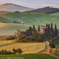 Buy canvas prints of Podere Belvedere in Tuscany by Jim Monk