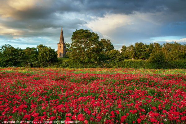 Gilmorton poppies, Leicestershire Picture Board by Jim Monk