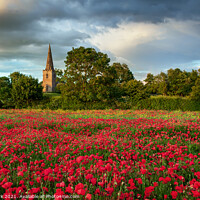 Buy canvas prints of Gilmorton poppies, Leicestershire by Jim Monk