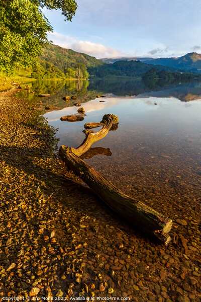 Grasmere Lake Summer Morning Picture Board by Jim Monk