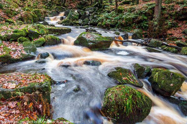 Burbage Brook, Padley Gorge Picture Board by Jim Monk