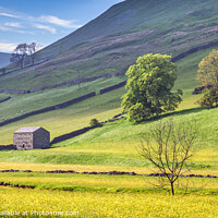 Buy canvas prints of Buttercup Valley, Yorkshire Dales by Jim Monk
