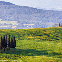Buy canvas prints of Hillside View, Tuscany by Jim Monk