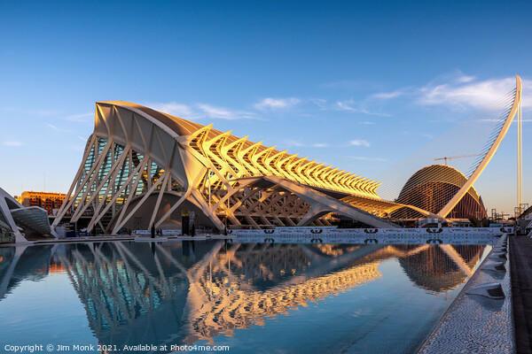 Principe Felipe Museum in The City of Arts and Sciences Picture Board by Jim Monk