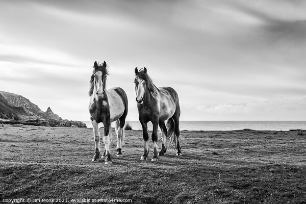 Horses by the sea Picture Board by Jim Monk