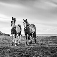 Buy canvas prints of Horses by the sea by Jim Monk