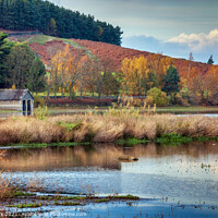 Buy canvas prints of Cropston Colours, Leicestershire by Jim Monk