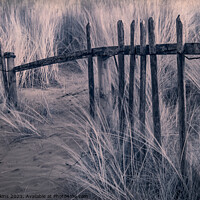 Buy canvas prints of Broken Fence by Tony Gaskins